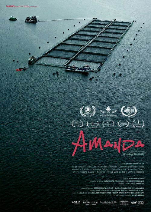 Amanda (2023) poster