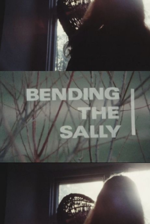 Bending the Sally (1985) poster