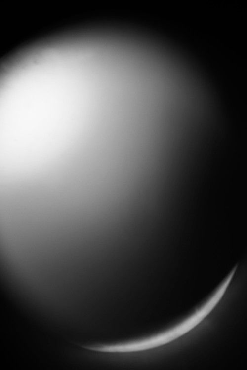 Red Wine (2024) poster