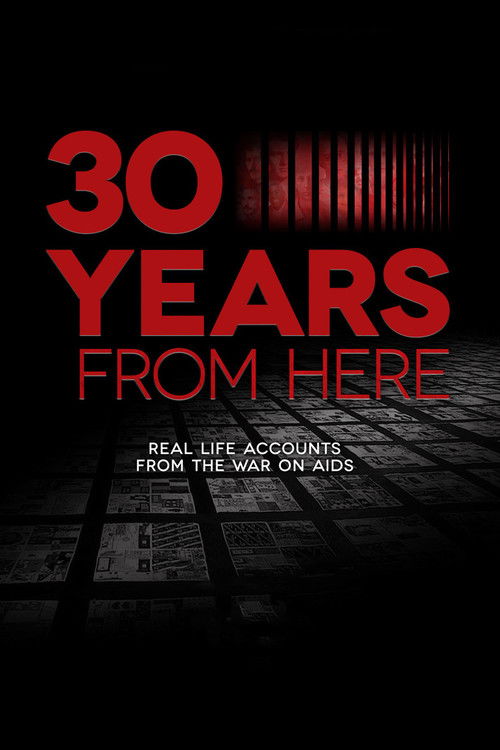 30 Years from Here (2011) poster