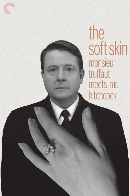 Monsieur Truffaut Meets Mr. Hitchcock (1999) poster