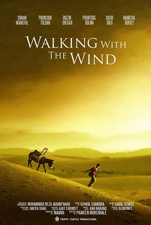 Walking With the Wind (2017) poster