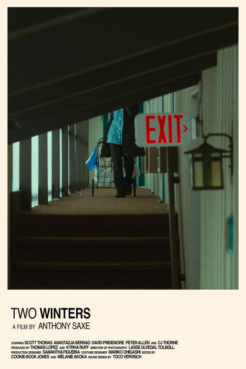 Two Winters (2020) poster