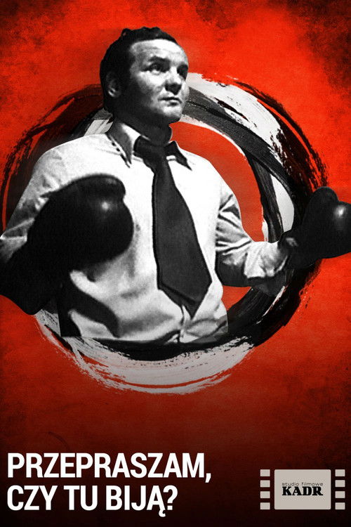 Przepraszam, czy tu biją? (1976) poster