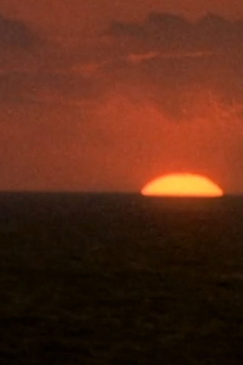 r.i.p. kodachrome and plus-x (2011) poster