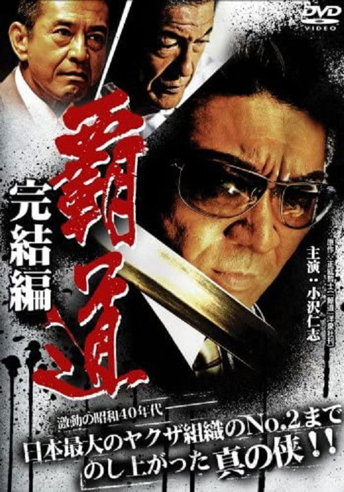 Domination Final Chapter (2008) poster