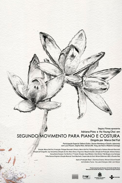 Second Movement for Piano and Needlework (2011) poster