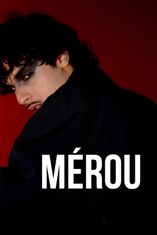 Mérou (2025) poster