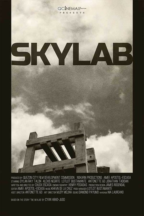 Skylab (2021) poster