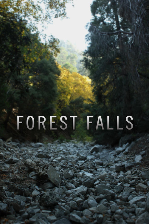 Forest Falls (2011) poster
