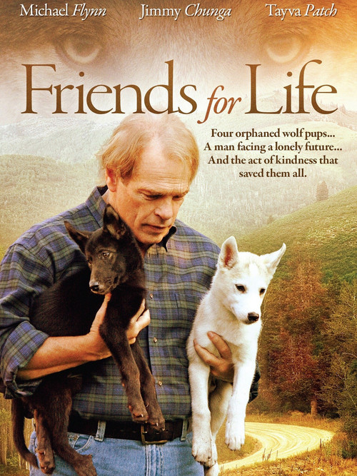 Friends for Life (2008) poster