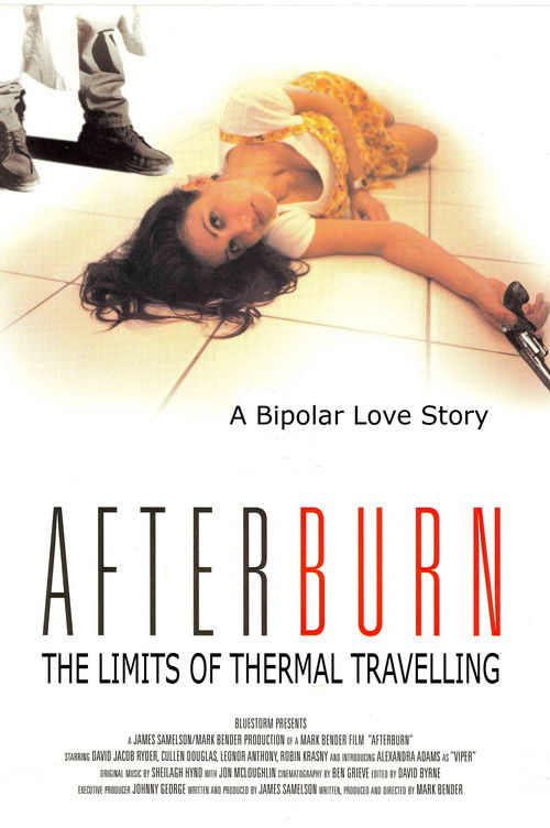 The Limits of Thermal Travelling (1995) poster