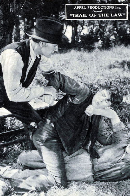 The Trail of the Law (1924) poster
