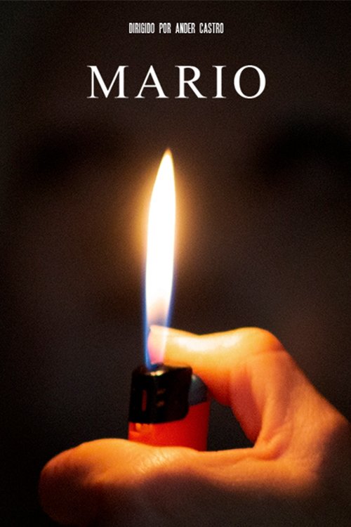 Mario (2020) poster