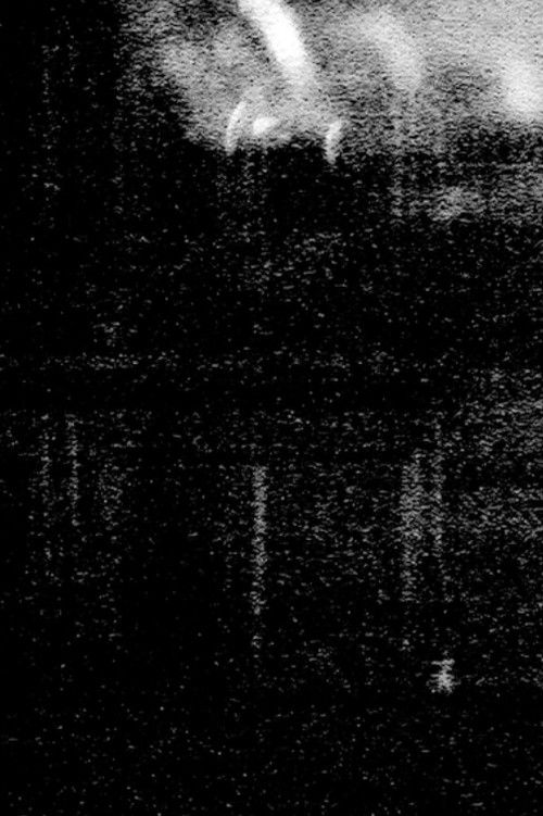 Fantasma (2017) poster