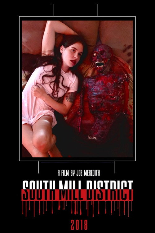 South Mill District (2018) poster