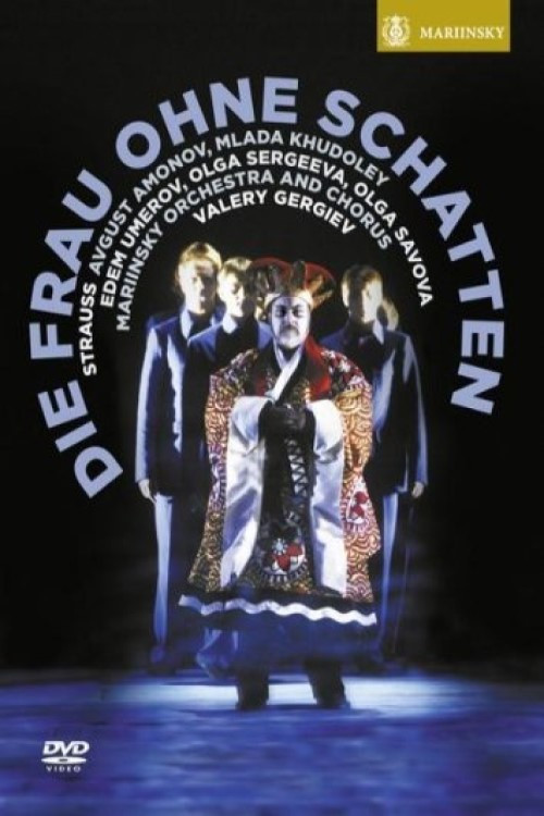 Die Frau ohne Schatten (2013) poster