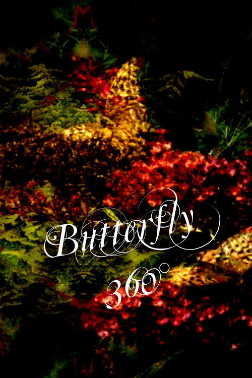 Butterfly 360° (2020) poster