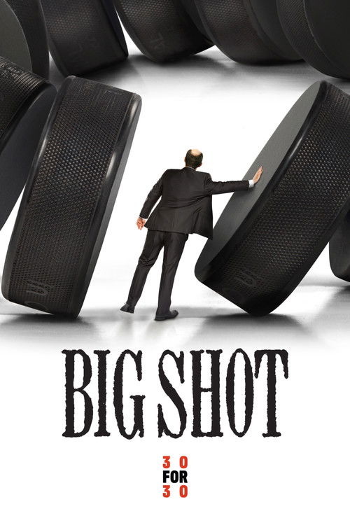 Big Shot (2013) poster