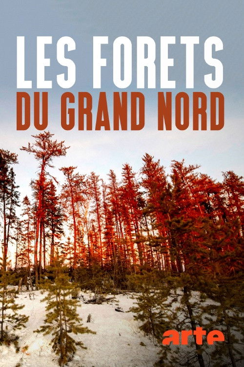 Les forêts du Grand Nord (2020) poster