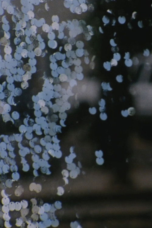 The Dragon Is the Frame (2014) poster