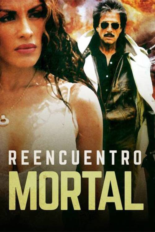 Reencuentro mortal (1996) poster