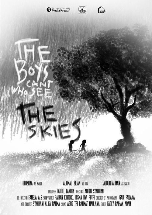 The Boys Who Can't See The Skies (2024) poster