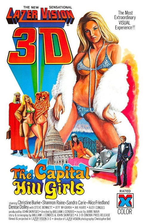 The Capitol Hill Girls (1977) poster