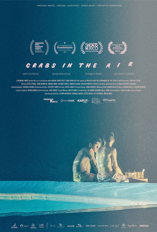 Crabs in the Air (2025) poster