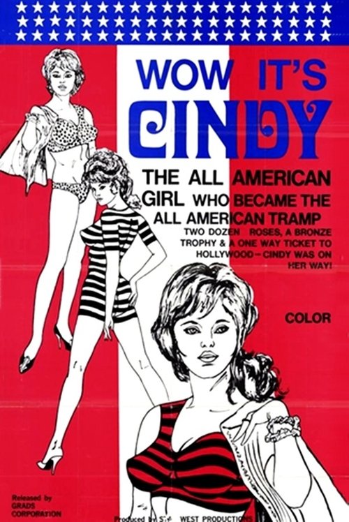 Wow, It's Cindy (1971) poster