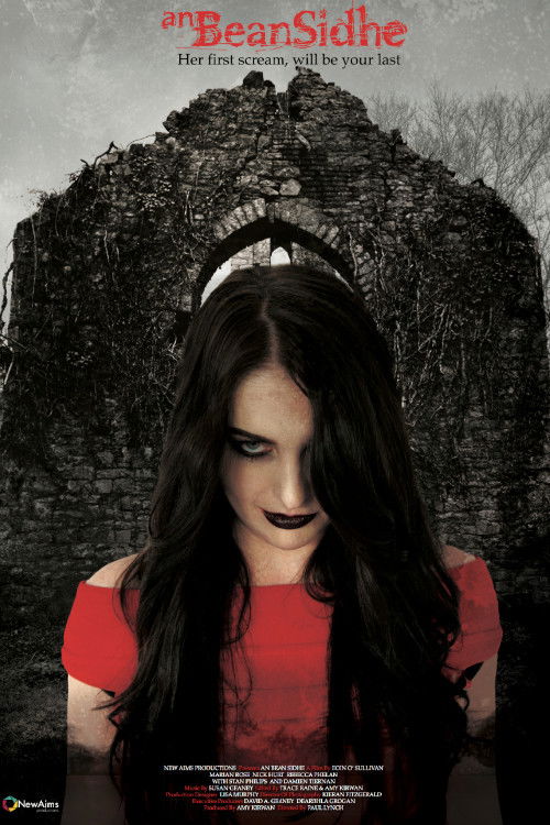 An Bean Sidhe (2014) poster