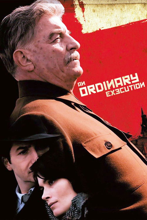 An Ordinary Execution (2010) poster