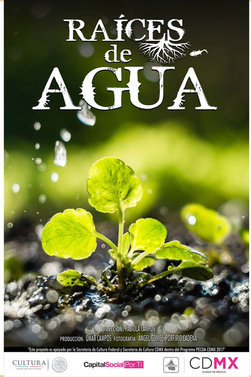 Raíces de Agua poster