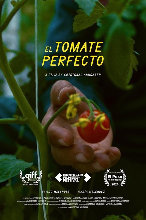 The Perfect Tomato (2024) poster