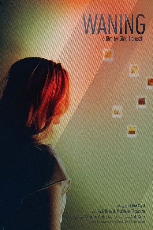 Waning (2011) poster