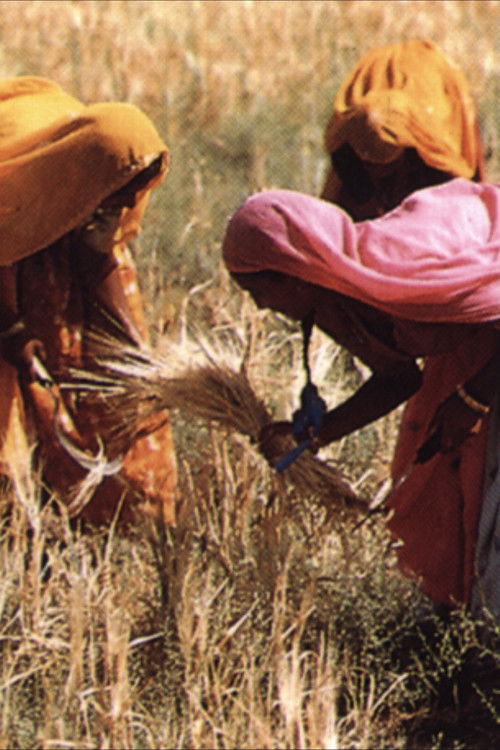 The Legacy of Malthus (1994) poster