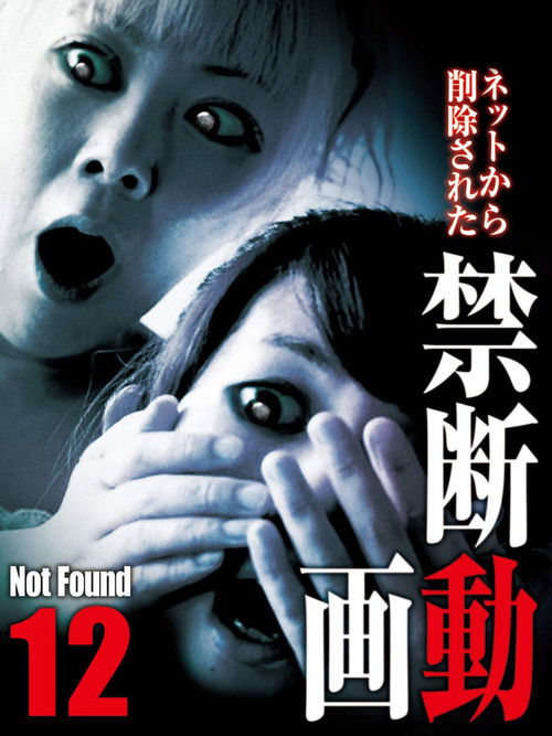 Not Found 12 (2013) poster