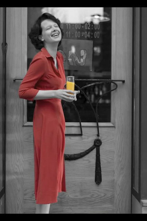 Promotional (2013) poster