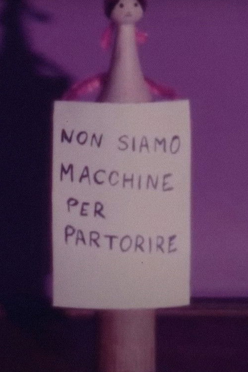 È solo a noi che sta la decisione (1976) poster