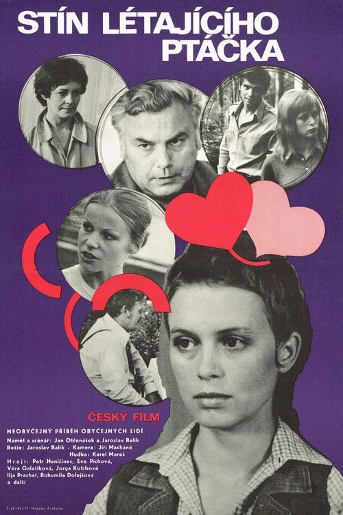 Stín létajícího ptáčka (1977) poster