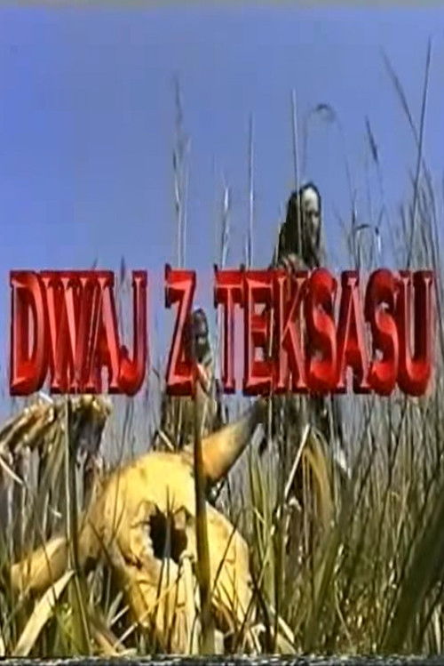 Dwaj z Teksasu (2000) poster