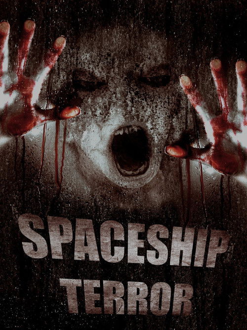 Spaceship Terror (2011) poster
