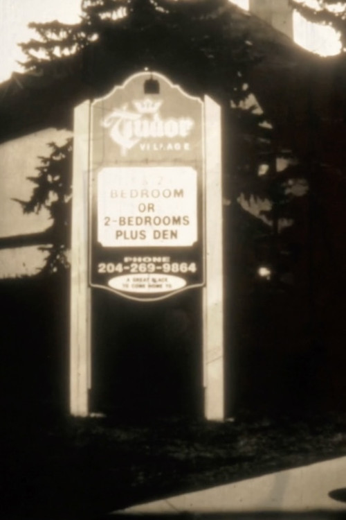 Tudor Village: A One Shot Deal (2012) poster