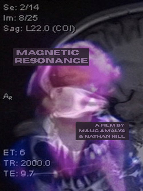 Magnetic Resonance (2016) poster