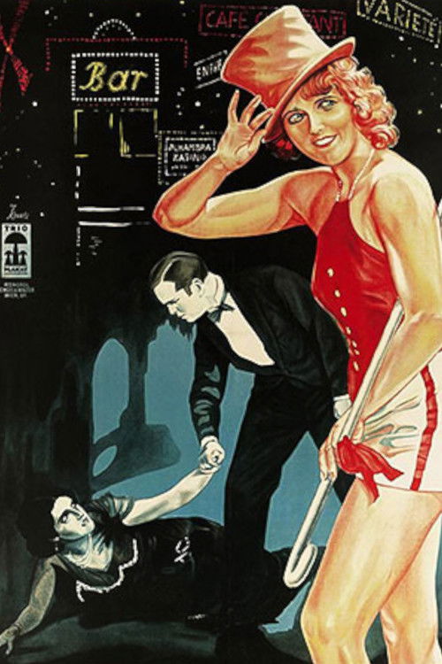 The Lady in Black (1928) poster