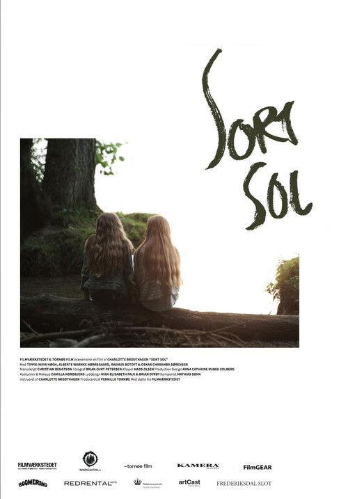Sort sol (2014) poster