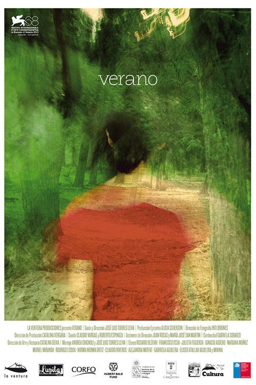 Verano (2011) poster