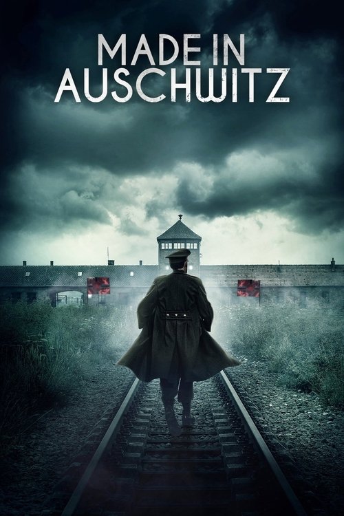 Made in Auschwitz: The Untold Story of Block 10 (2019) poster
