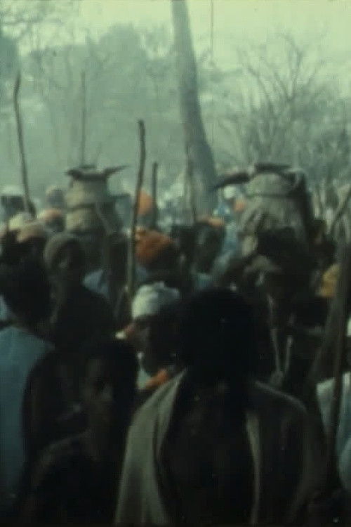 Fanado (1984) poster