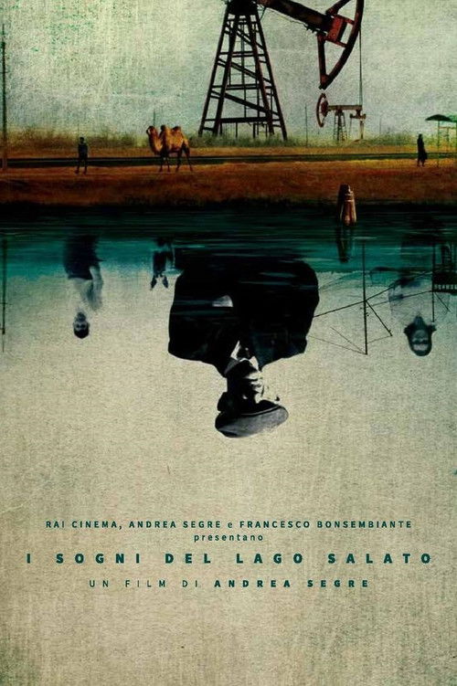 Dreams of the Salt Lake (2015) poster